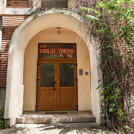 Arad Central Joy - Mihaela Apartment Exterior foto